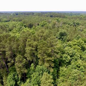 Photo of SOLD!  48.2 Acres of Timber Land For Sale in Halifax County NC!
