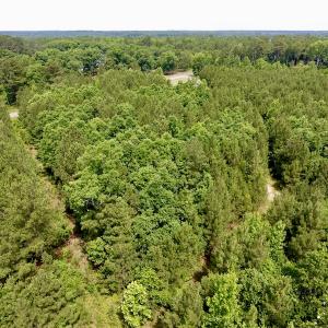 Photo of SOLD!  48.2 Acres of Timber Land For Sale in Halifax County NC!