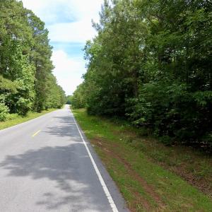 Photo of SOLD!  48.2 Acres of Timber Land For Sale in Halifax County NC!