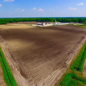 Photo of SOLD!  144 Acres of  Prime Farm and Cropland For Sale in Jones County NC!