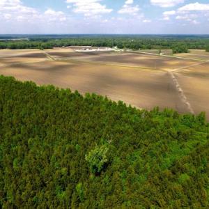 Photo of SOLD!  144 Acres of  Prime Farm and Cropland For Sale in Jones County NC!