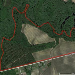 Photo of UNDER CONTRACT!  78.5 Acres of Farm and Timber Land for Sale in Jones County NC!