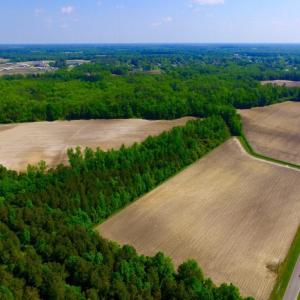 Photo of UNDER CONTRACT!  78.5 Acres of Farm and Timber Land for Sale in Jones County NC!
