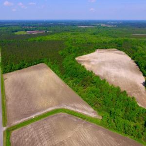Photo of UNDER CONTRACT!  78.5 Acres of Farm and Timber Land for Sale in Jones County NC!
