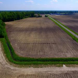 Photo of UNDER CONTRACT!  78.5 Acres of Farm and Timber Land for Sale in Jones County NC!