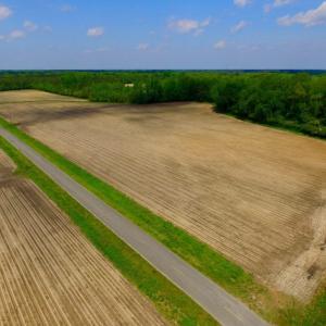 Photo of UNDER CONTRACT!  78.5 Acres of Farm and Timber Land for Sale in Jones County NC!