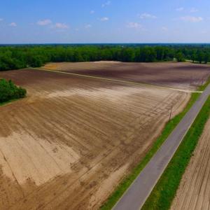 Photo of UNDER CONTRACT!  78.5 Acres of Farm and Timber Land for Sale in Jones County NC!
