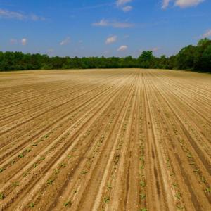 Photo of UNDER CONTRACT!  78.5 Acres of Farm and Timber Land for Sale in Jones County NC!