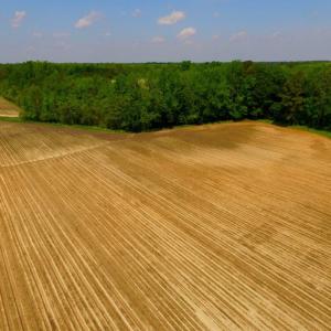 Photo of UNDER CONTRACT!  78.5 Acres of Farm and Timber Land for Sale in Jones County NC!