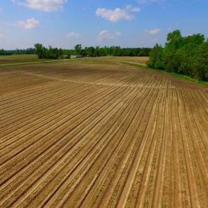 Photo of UNDER CONTRACT!  78.5 Acres of Farm and Timber Land for Sale in Jones County NC!