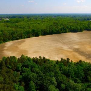 Photo of UNDER CONTRACT!  78.5 Acres of Farm and Timber Land for Sale in Jones County NC!