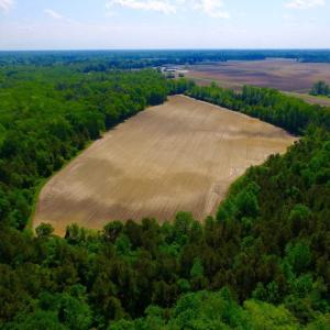 Photo of UNDER CONTRACT!  78.5 Acres of Farm and Timber Land for Sale in Jones County NC!