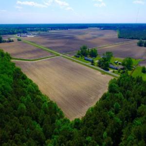 Photo of UNDER CONTRACT!  78.5 Acres of Farm and Timber Land for Sale in Jones County NC!