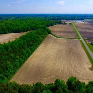 Photo of UNDER CONTRACT!  78.5 Acres of Farm and Timber Land for Sale in Jones County NC!