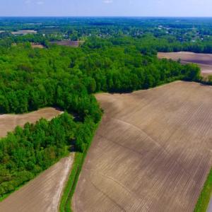 Photo of UNDER CONTRACT!  78.5 Acres of Farm and Timber Land for Sale in Jones County NC!