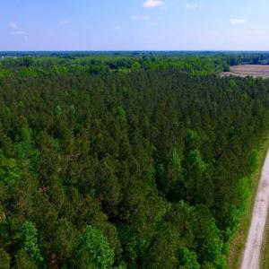 Photo of UNDER CONTRACT!  78.5 Acres of Farm and Timber Land for Sale in Jones County NC!