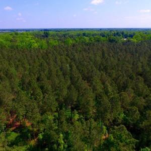Photo of UNDER CONTRACT!  78.5 Acres of Farm and Timber Land for Sale in Jones County NC!