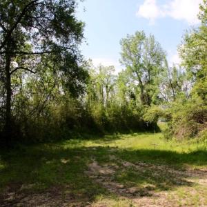 Photo of UNDER CONTRACT!  78.5 Acres of Farm and Timber Land for Sale in Jones County NC!