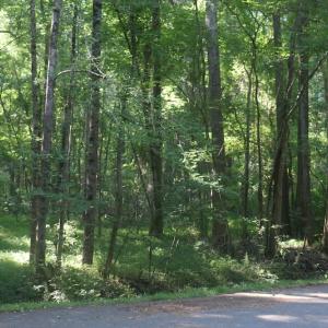 Photo of UNDER CONTRACT!  29 Acres of Residential Land For Sale in Chesapeake VA!