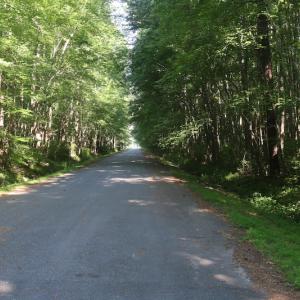 Photo of UNDER CONTRACT!  29 Acres of Residential Land For Sale in Chesapeake VA!