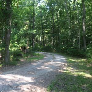 Photo of UNDER CONTRACT!  29 Acres of Residential Land For Sale in Chesapeake VA!
