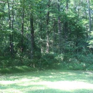 Photo of UNDER CONTRACT!  29 Acres of Residential Land For Sale in Chesapeake VA!