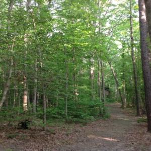 Photo of SOLD!  11 Acres of Hunting Land for Sale in Brunswick County VA!