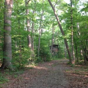 Photo of SOLD!  11 Acres of Hunting Land for Sale in Brunswick County VA!