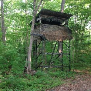 Photo of SOLD!  11 Acres of Hunting Land for Sale in Brunswick County VA!