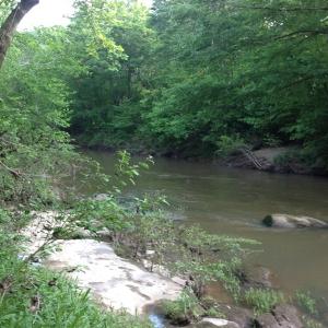 Photo of SOLD!  11 Acres of Hunting Land for Sale in Brunswick County VA!