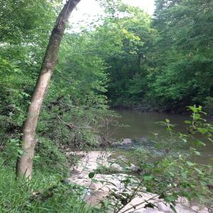 Photo of SOLD!  11 Acres of Hunting Land for Sale in Brunswick County VA!