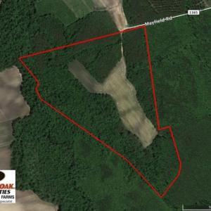 Photo of UNDER CONTRACT!  75.5 acre Farm and Timberland for Sale in Jones County NC!