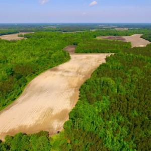 Photo of UNDER CONTRACT!  75.5 acre Farm and Timberland for Sale in Jones County NC!