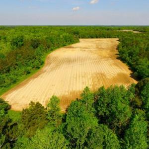 Photo of UNDER CONTRACT!  75.5 acre Farm and Timberland for Sale in Jones County NC!