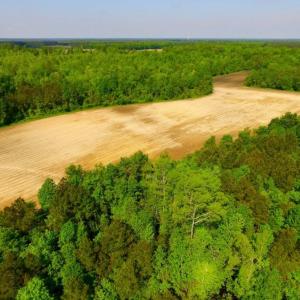 Photo of UNDER CONTRACT!  75.5 acre Farm and Timberland for Sale in Jones County NC!
