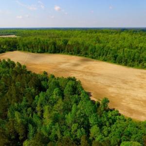 Photo of UNDER CONTRACT!  75.5 acre Farm and Timberland for Sale in Jones County NC!