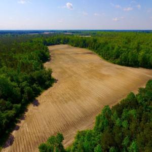 Photo of UNDER CONTRACT!  75.5 acre Farm and Timberland for Sale in Jones County NC!