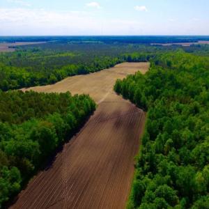 Photo of UNDER CONTRACT!  75.5 acre Farm and Timberland for Sale in Jones County NC!