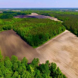 Photo of UNDER CONTRACT!  75.5 acre Farm and Timberland for Sale in Jones County NC!