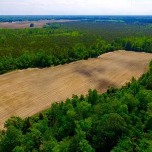 Photo of UNDER CONTRACT!  75.5 acre Farm and Timberland for Sale in Jones County NC!