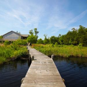 Photo of UNDER CONTRACT!  Waterfront Home with 11 Acres of Land For Sale in Tyrrell County NC!