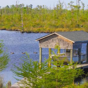 Photo of UNDER CONTRACT!  Waterfront Home with 11 Acres of Land For Sale in Tyrrell County NC!