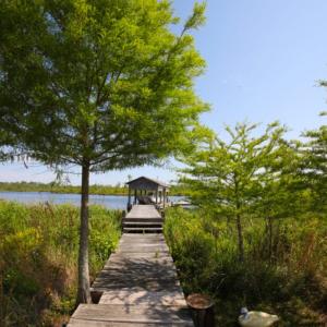 Photo of UNDER CONTRACT!  Waterfront Home with 11 Acres of Land For Sale in Tyrrell County NC!