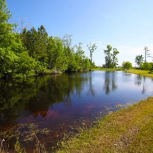 Photo of UNDER CONTRACT!  Waterfront Home with 11 Acres of Land For Sale in Tyrrell County NC!