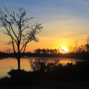 Photo of UNDER CONTRACT!  Waterfront Home with 11 Acres of Land For Sale in Tyrrell County NC!