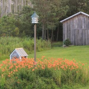 Photo of UNDER CONTRACT!  Waterfront Home with 11 Acres of Land For Sale in Tyrrell County NC!
