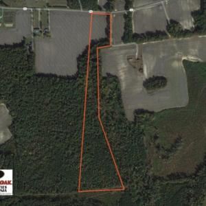 Photo of UNDER CONTRACT!  22 Acres of Hunting Land For Sale in Greensville County VA!