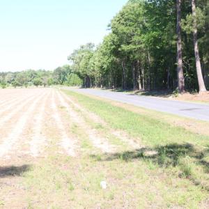 Photo of UNDER CONTRACT!  22 Acres of Hunting Land For Sale in Greensville County VA!