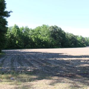 Photo of UNDER CONTRACT!  22 Acres of Hunting Land For Sale in Greensville County VA!