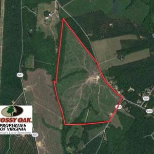 Photo of UNDER CONTRACT!  124.66 Acres of Hunting and Recreational Land For Sale in Lunenburg County VA!